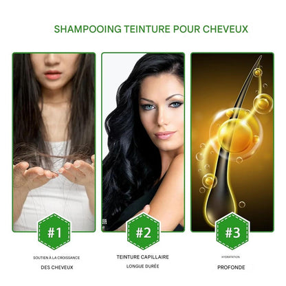 Shampooing pour coloration instantanée des cheveux