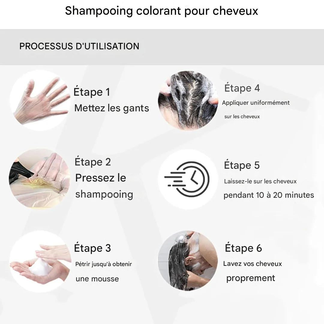 Shampooing pour coloration instantanée des cheveux