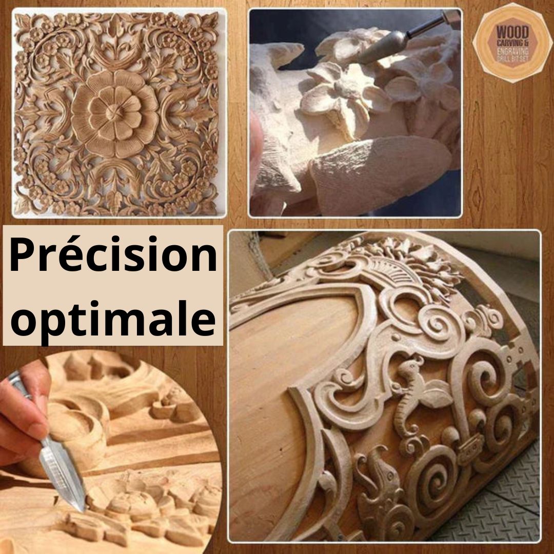 CraftMaster (Essentiels de la gravure sur bois)