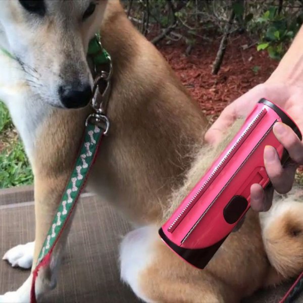 Brosse Magique Pour Animaux