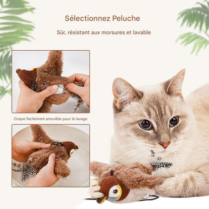 Jouet interactif pour chat avec oiseau gazouillant