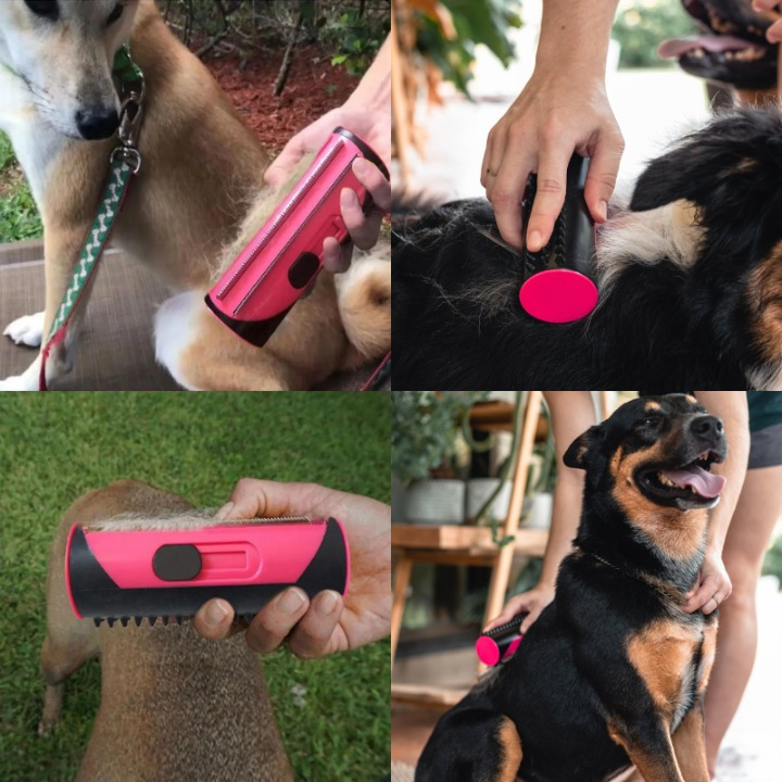 FurSleek™ 2.0 - Brosse de toilettage pour chien