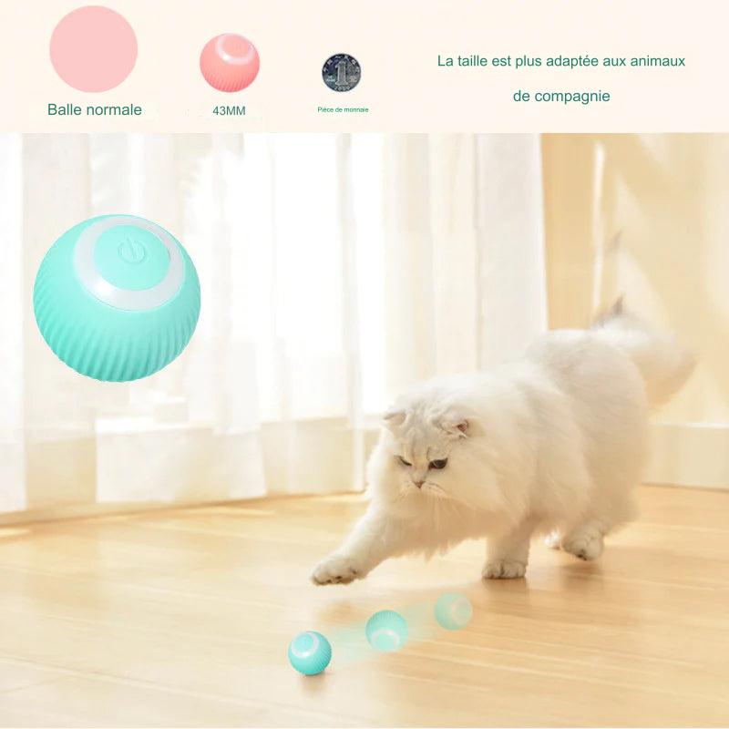 DanseDuChat™ - Jeu pour chat