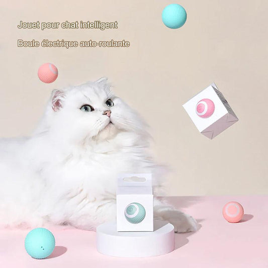 DanseDuChat™ - Jeu pour chat