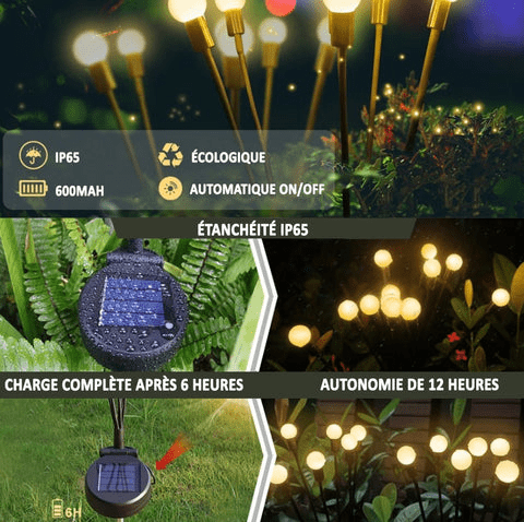 Lucioles Solaires LED Magiques