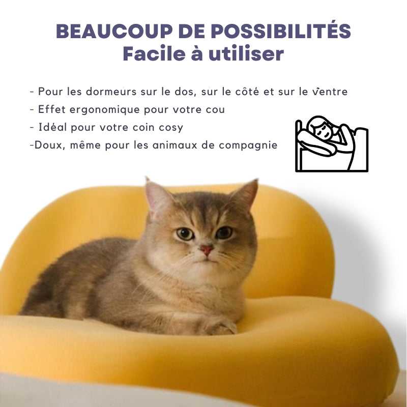 L'oreiller mochi
