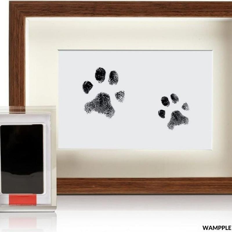 PawsInMemory™ - Kit d'empreintes pour chien et chat