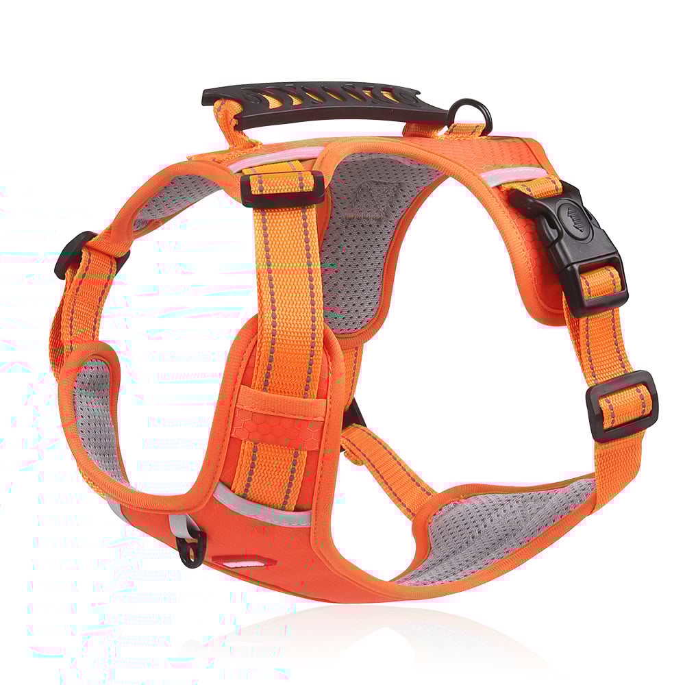 Harnais réfléchissant SafetyPup